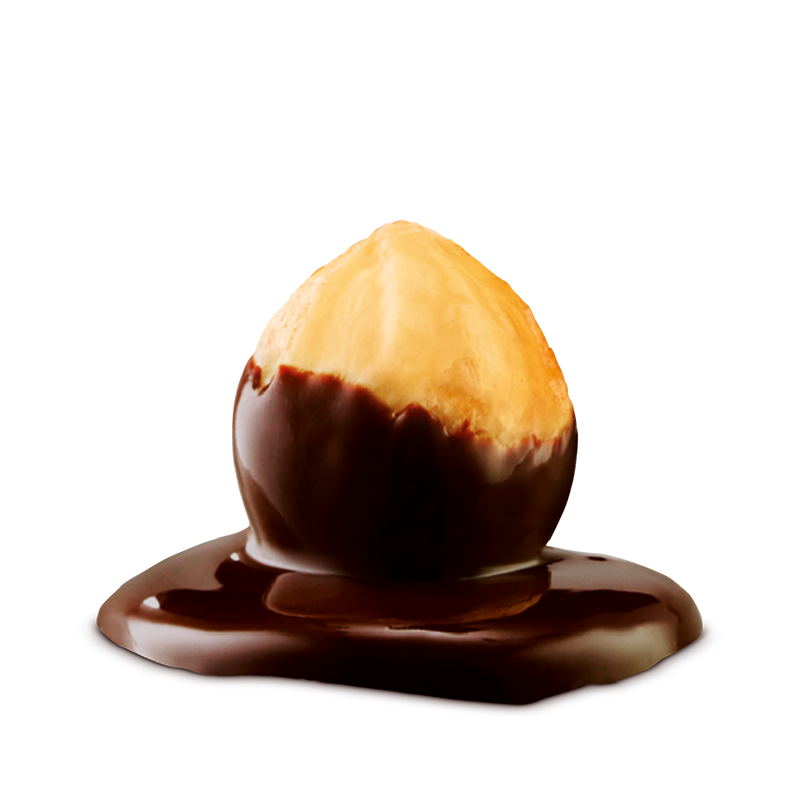 Gift Tubes - Valencia Orange Dark Chocolate Hazelnuts