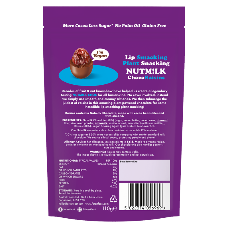 Nutmilk Vegan Chocolate Raisins